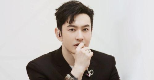 男明星的姐姐,揭秘男明星姐姐背后的故事