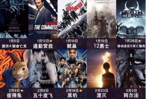 18年最新电影免费观看,重温经典，畅享视听盛宴