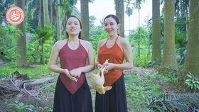 姐妹无码合集,姐妹无码合集大揭秘