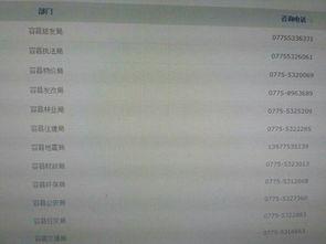 爆料新闻的电话号是多少,爆料新闻热线电话号码背后的神秘故事