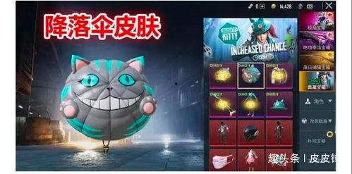 军需新皮肤最新爆料白猫,军需风采，时尚与力量的完美融合