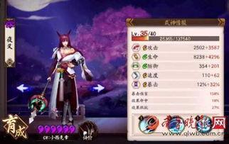 夜叉明星,闪耀舞台的黑暗之光