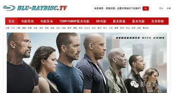 Av高清无码下载 下载,探索高清无码资源下载的便捷之道