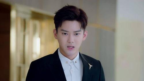 免费观看国民老公第6集,豪门恩怨再升级，神秘身世引热议